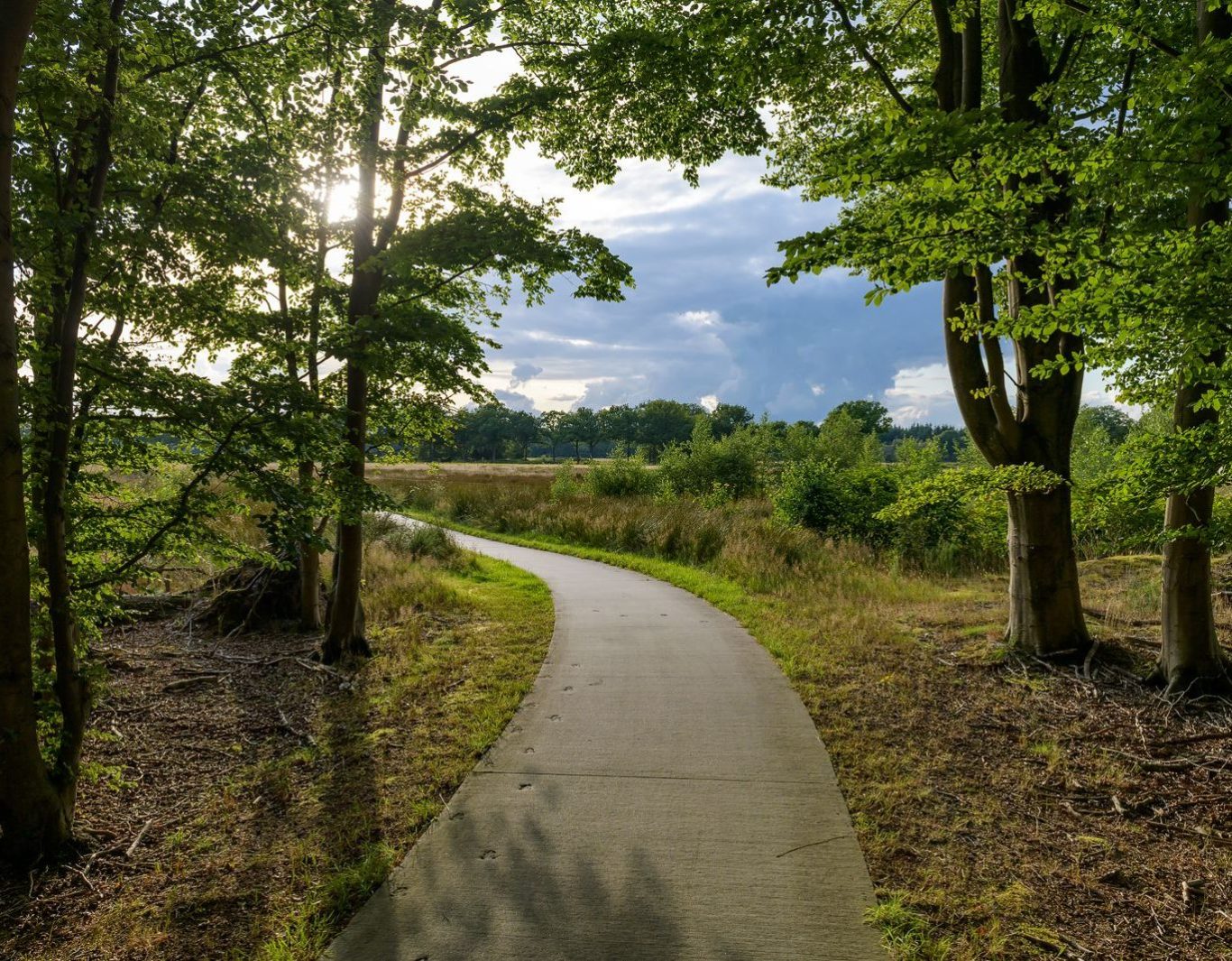heerlijk weide blik in natuur